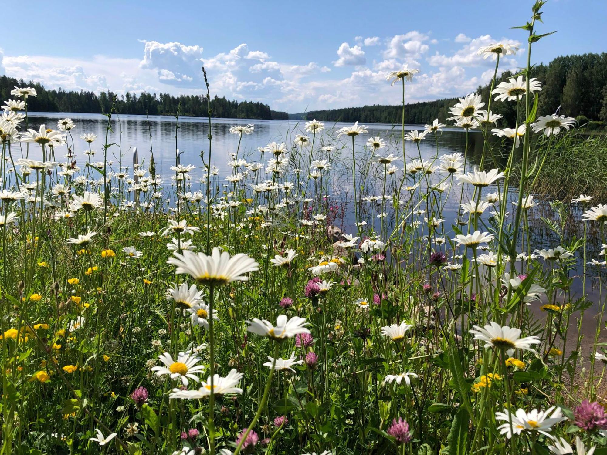 Vehkaniemen Lomatila Pohjaslahti Exteriör bild